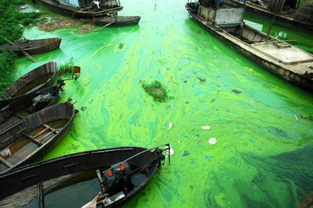 A general view shows ships in the algae-filled Chaohu Lake in Hefei, East China's Anui Procince, June 11, 2007.Environmental experts and officials are closely monitoring the potentially harmful algae bloom in Chaohu Lake, China's fifth largest freshwater lake, for signs of a massive bloom in the hot and arid weather, Xinhua said.[China Foto Press]