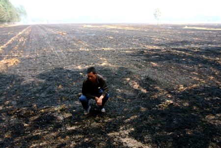 A farmer inspects the wheat field after a fire in Zhengzhou, Central China's Henan Province, June 12, 2007. A local official suspected that someone set fire on wheat straws near a road and the fire quickly spread to the field for the dry weather, Dahe Daily reported. The fire damaged the corn seedling in an area of 670,000 square meters and also shrouded nearby villages with heavy smoke.caption [newsphoto]