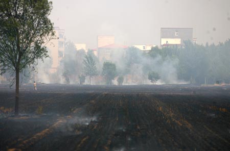 A general view shows the wheat field after a fire in Zhengzhou, Central China's Henan Province, June 12, 2007. A local official suspected that someone set fire on wheat straws near a road and the fire quickly spread to the field for the dry weather, Dahe Daily reported. The fire damaged the corn seedling in an area of 670,000 square meters and also shrouded nearby villages with heavy smoke.caption [newsphoto]
