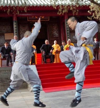 Putin tastes Shaolin kongfu in Henan