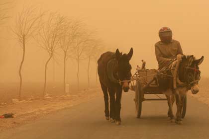 Sandstorm hits northwest China