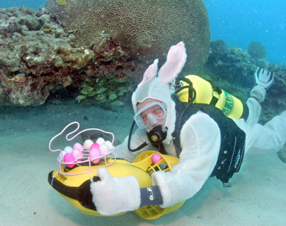 tanning hides with eggs tanning hides with eggs