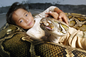 Boy and python: Good friends