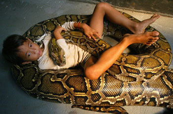 Boy and python: Good friends