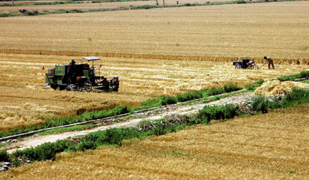 China expecting good grain harvest