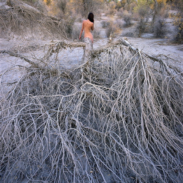 Xie Mo's nude photographs
