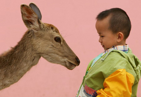 Chen Jie: nothing is impossible
