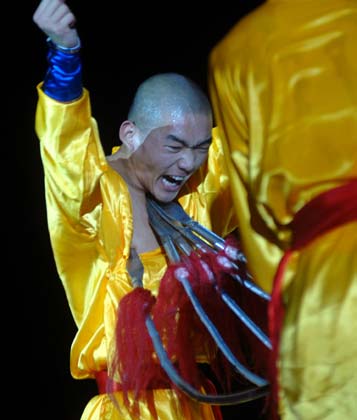 Shaolin Kung Fu 
