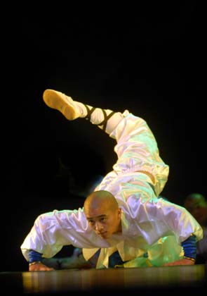 Shaolin Kung Fu 