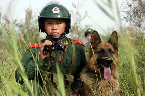 Photo selections of Zhang Bo