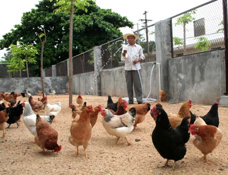 Animals help to predict earthquake