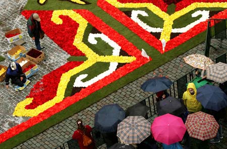 Flower carpet at Brussels