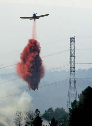 Forest fire in Spain