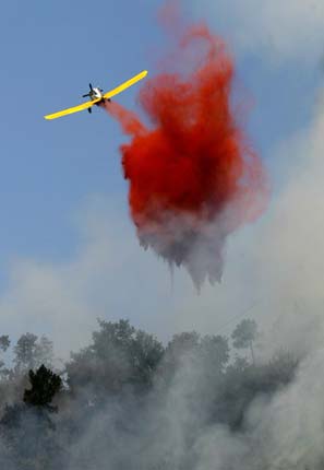 Forest fire in Spain