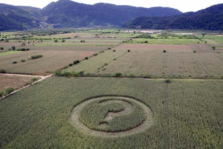 Protest against GE maize