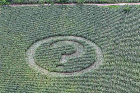 Protest against GE maize