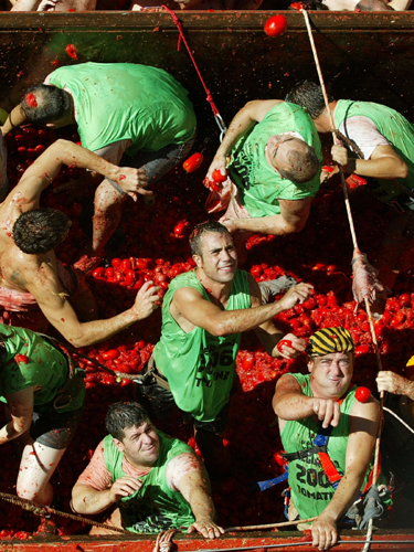 Tomato fight