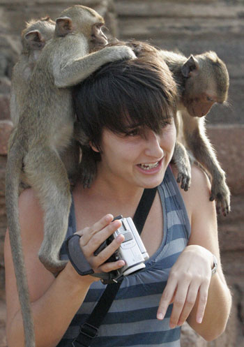 Monkey Buffet Festival in Thailand