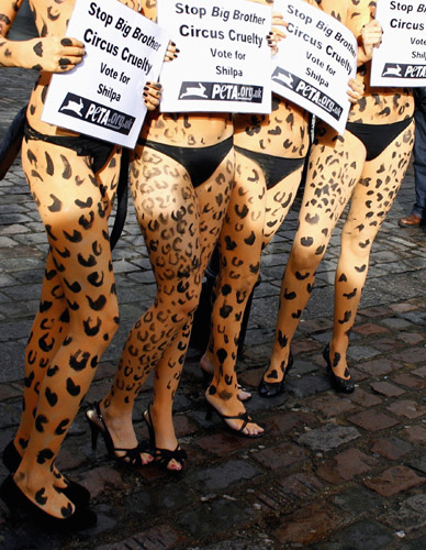Animal rights advocates painted with Leopard spots