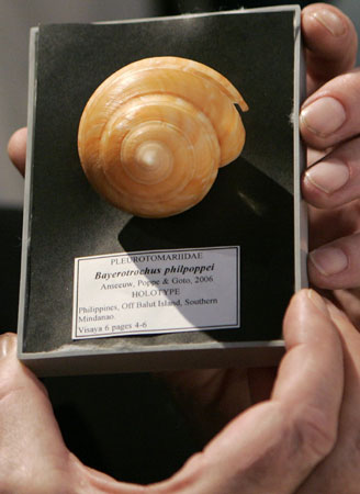 Newly discovered marine species on show in Manila