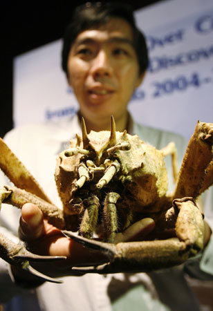 Newly discovered marine species on show in Manila
