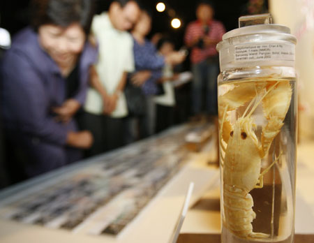 Newly discovered marine species on show in Manila