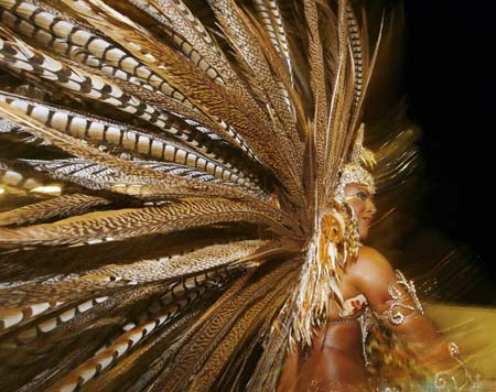 Carnival in Rio de Janeiro 