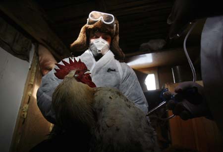 Russia confirmed outbreak of bird flu