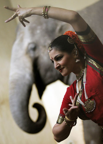 Indian folk dancers