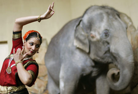 Indian folk dancers