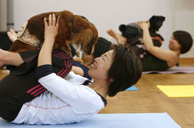Dog Yoga in Japan