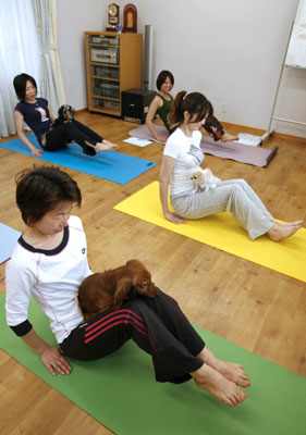 Dog Yoga in Japan