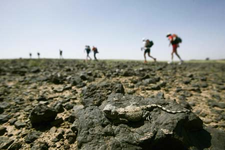 The Marathon of Sands in Rissani