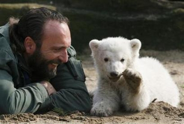 Polar bear plays in Berlin Zoo 