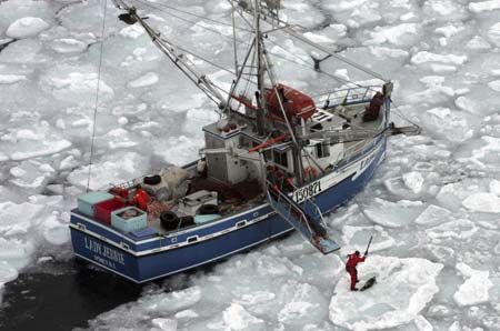 Seal hunt in northern Gulf of St. Lawrence