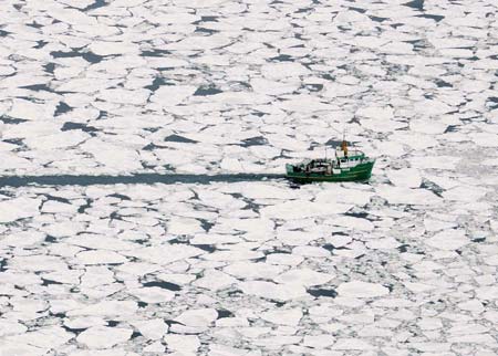 Seal hunt in northern Gulf of St. Lawrence