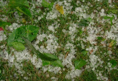 Hail storm hit farmers in Yunnan