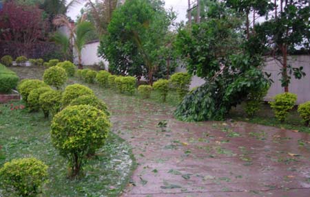 Hail storm hit farmers in Yunnan