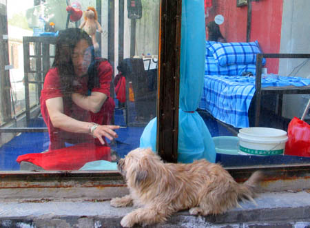 Performance art in glass house