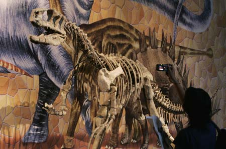 of the Triassic period, Triassic Period Dinosaurs Pictures. of the Triassic period,