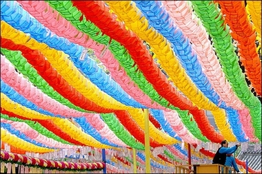Lotus lanterns 