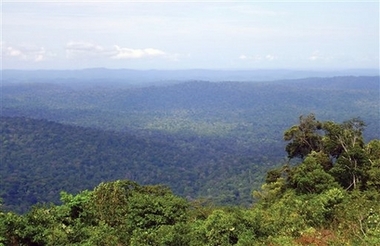 Scientists find 24 species in Suriname