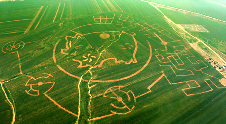 World's largest corn labyrinth finished