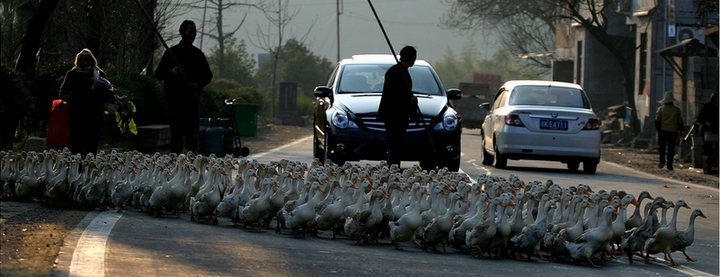 Capturing how cars are changing China