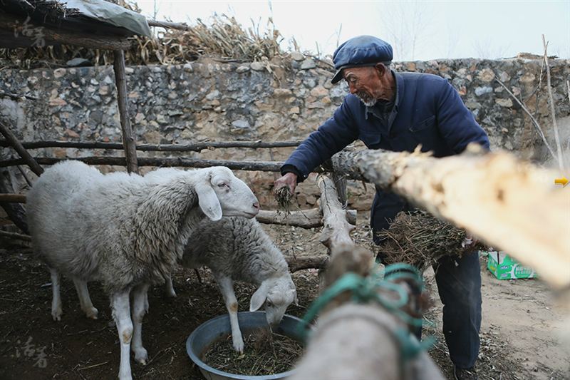 Aging bachelors in villages on their own