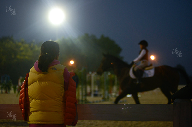 Growing up on back of a horse