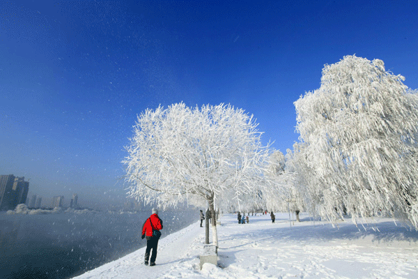 NE China turns pretty in white