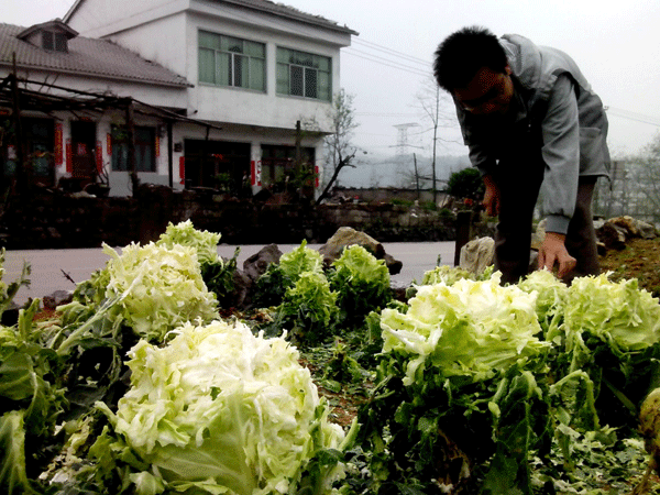 SW China hit by rain, hail