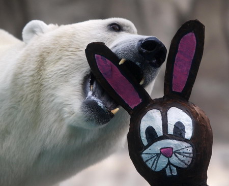 Animals play with mock Easter toys at zoo