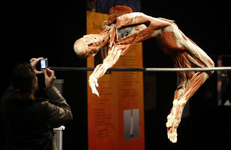 New 'Body Worlds' exhibition